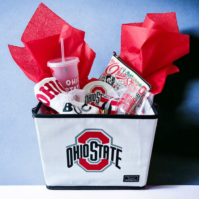 Personalized, Collapsable Storage Bin