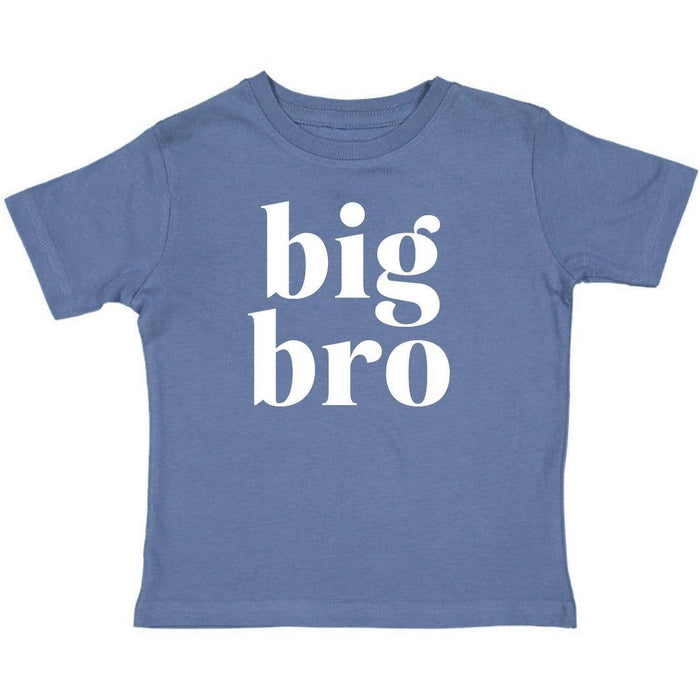 Big Bro short sleeve shirt — sibling announcement outfit, new baby gift