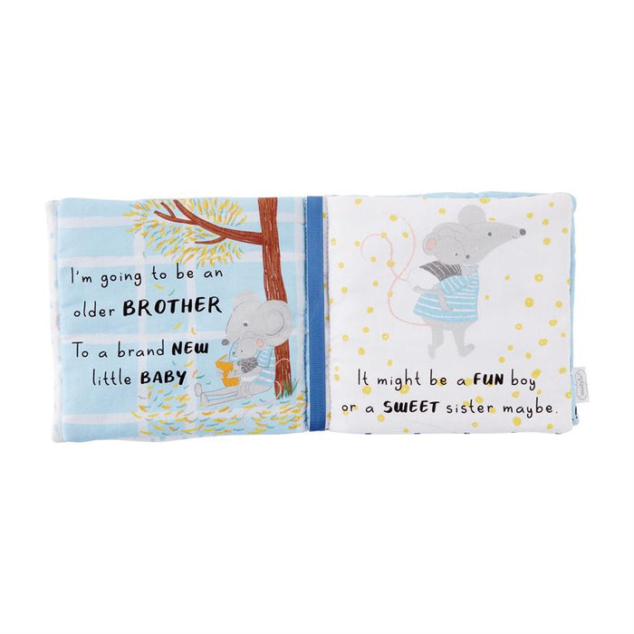 Big Brother book and pin set — shown with book open