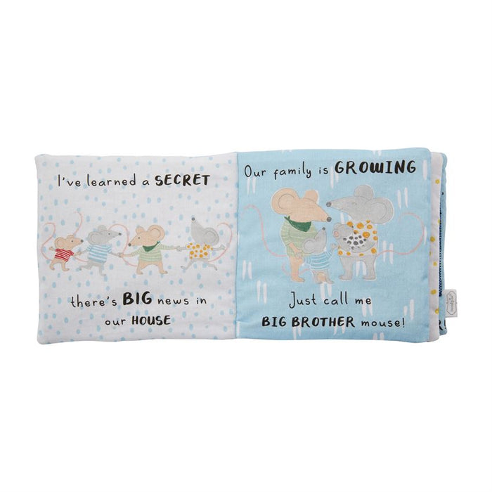 Big Brother book and pin set — close up showing pin detail