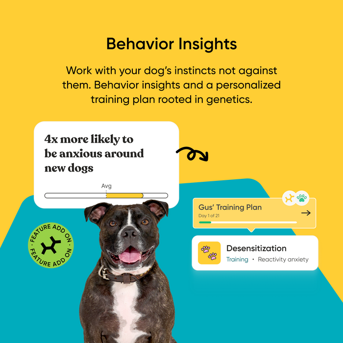 Promotional graphic for a dog training service called 'Behavior Insights' featuring a black and white dog on a bright yellow and teal background. The graphic includes text about genetic predisposition and anxiety around new dogs, along with mockups of a training plan and desensitization progress tracker.