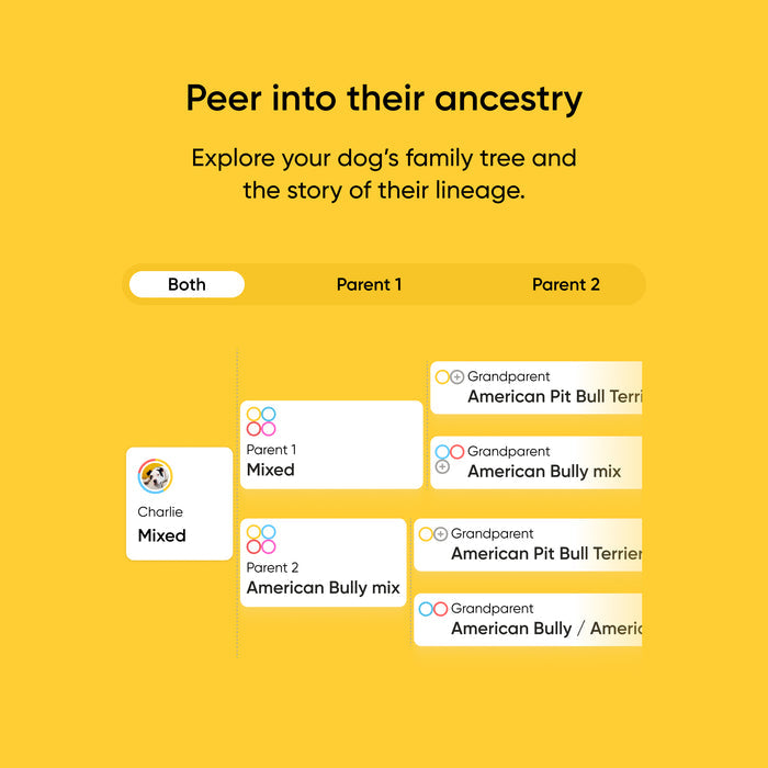 Ancestry exploration interface for dogs with family tree information on a yellow background