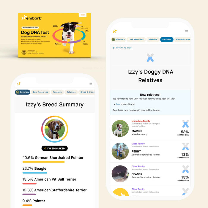 Embark Dog DNA Test yellow Breed kit box alongside two app screens for a dog named Izzy. The left screen shows a breed summary. The right screen shows the Relatives tab with immediate family match Margo at 52% shared DNA and close family matches Penny and Seager, both German Shorthaired Pointers at 13% shared DNA.