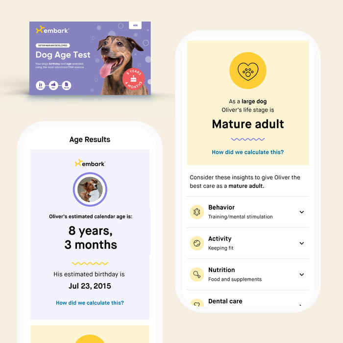 Embark Dog Age Test kit beside two mobile screens showing age results and mature adult life stage for a dog
