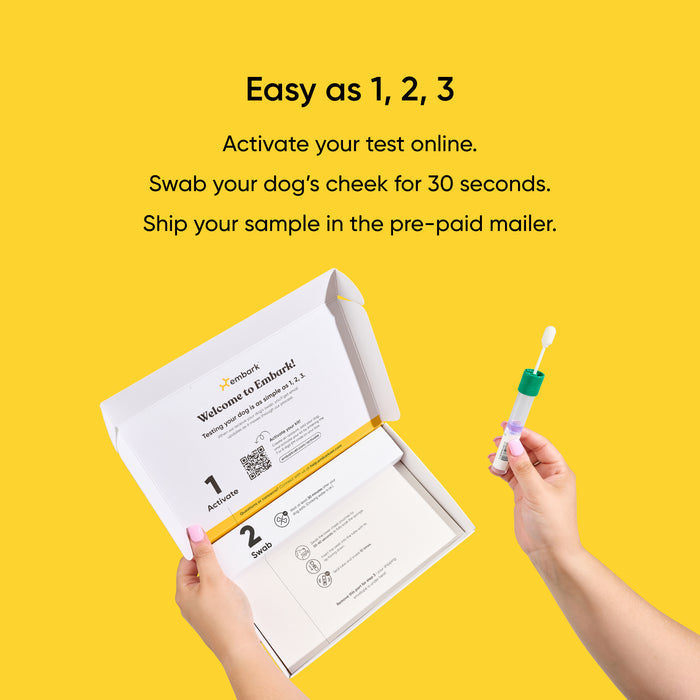 Dog cheek swab kit with instructions on a yellow background