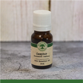 Camphor (Cinnamonum camphora) - Essential Oil