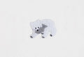 Daruma - Embroidered Sticker - #15 Kiborikuma White