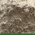 Diatomaceous Earth, Powder