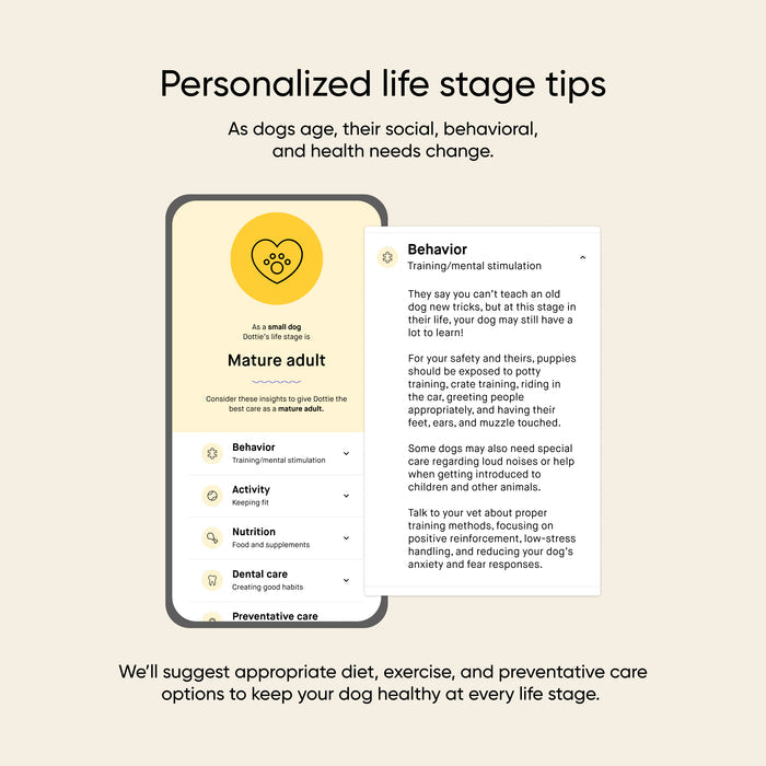 Embark dog DNA app feature graphic showing personalized life stage tips for a small dog identified as a mature adult. A mobile screen displays care categories including Behavior, Activity, Nutrition, Dental Care, and Preventative Care, with an expanded Behavior panel showing training and mental stimulation guidance.