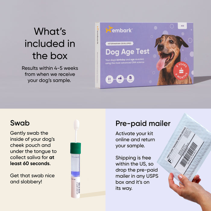 Embark Dog Age Test kit unboxing graphic showing three components: the purple Age kit box with a "5 Years 6 Months" badge, a cheek swab tool for collecting saliva for at least 60 seconds, and a pre-paid return mailer for free USPS shipping within the US. Results available within 4–5 weeks of sample receipt.