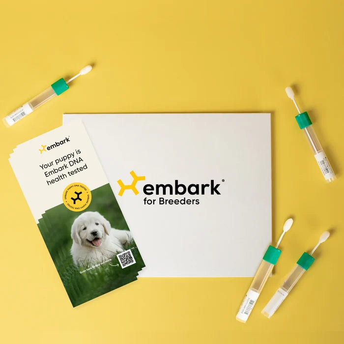 four dna swabs around an embark for breeders litter package with four proof of dna testing brochures