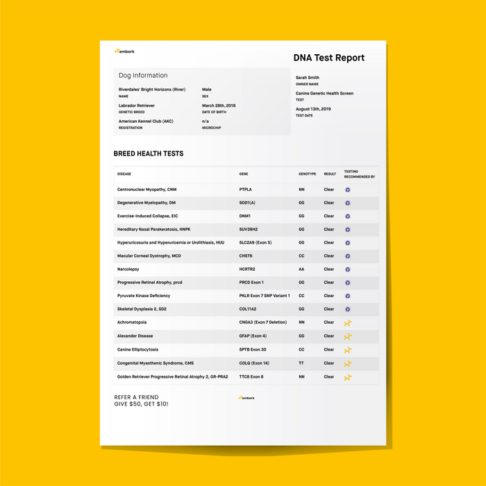 ofa report for puppies