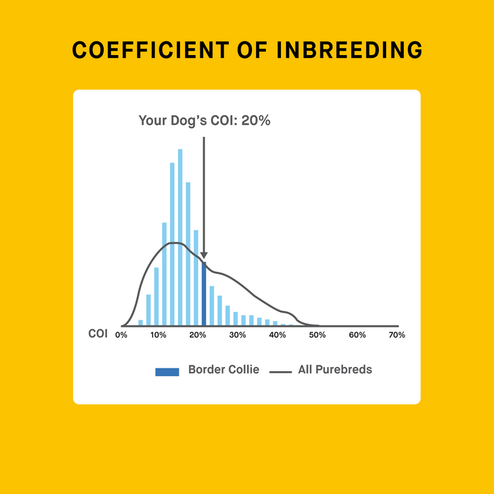 puppy genetic COI result