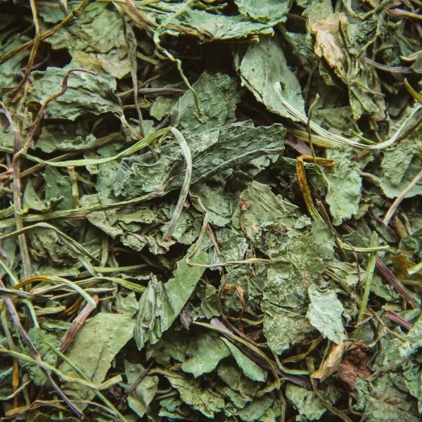 Gotu Kola, Cut & Sifted (Hydrocotyle [Centella] asiatica)- Dried Herb, Organic