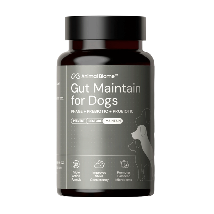 dog gut maintenance plus supplement capsules