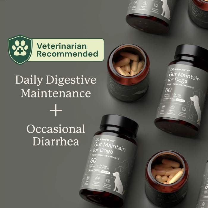 veterinarian recommended dog supplement for daily digestive maintenance and occasional diarrhea