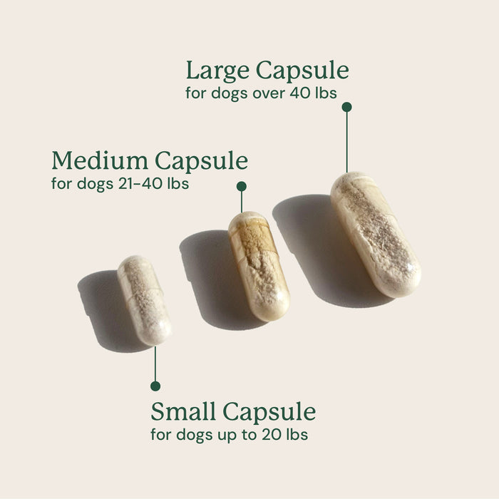 Three capsules labeled for different dog weight ranges on a light background