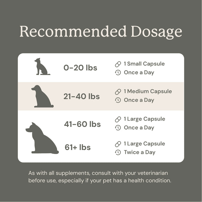 Recommended dosage chart for dogs on a gray background