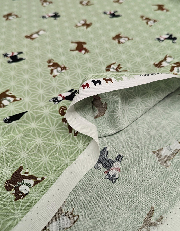 Hishiei - Asanoha Shibas Cotton Fabric - Green