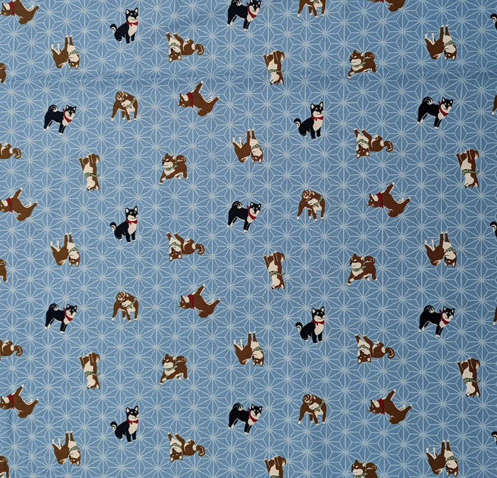 Hishiei - Asanoha Shibas Cotton Fabric - Light Blue