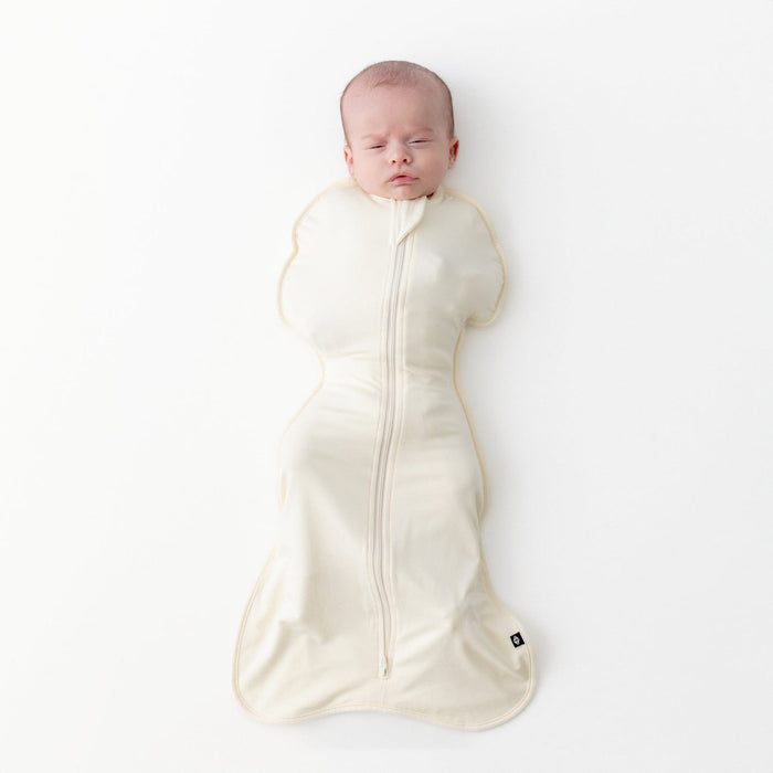 Kyte Baby Swaddle Bag