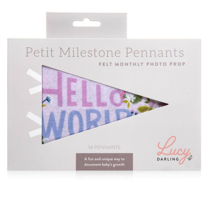 Little Artist Baby Milestone Pennant