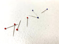 Little House - Appliqué Glass Head Pins - Red Blue