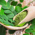 Moringa Powder (Moringa oliefera) - Dried Herb, Organic