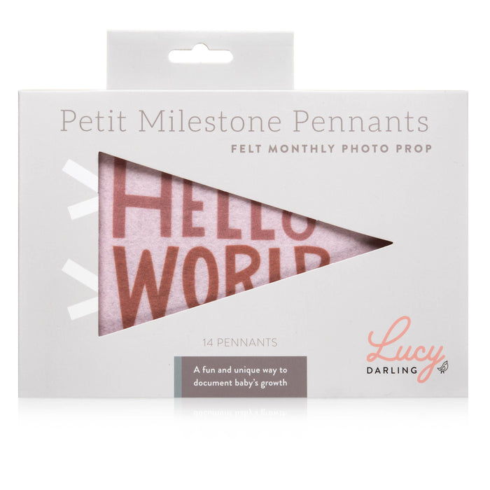 Mountain Fields Baby Milestone Pennant