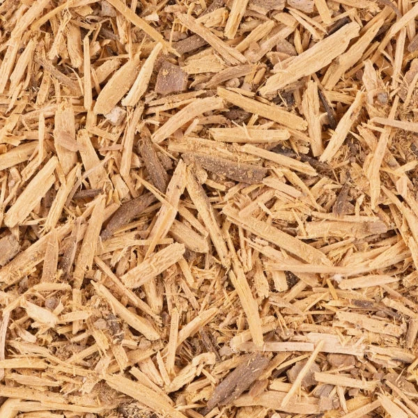 Muira Puama, Bark (Croton echioides) - Dried Herb, Wildcrafted