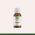 Mullein - Infused Oil