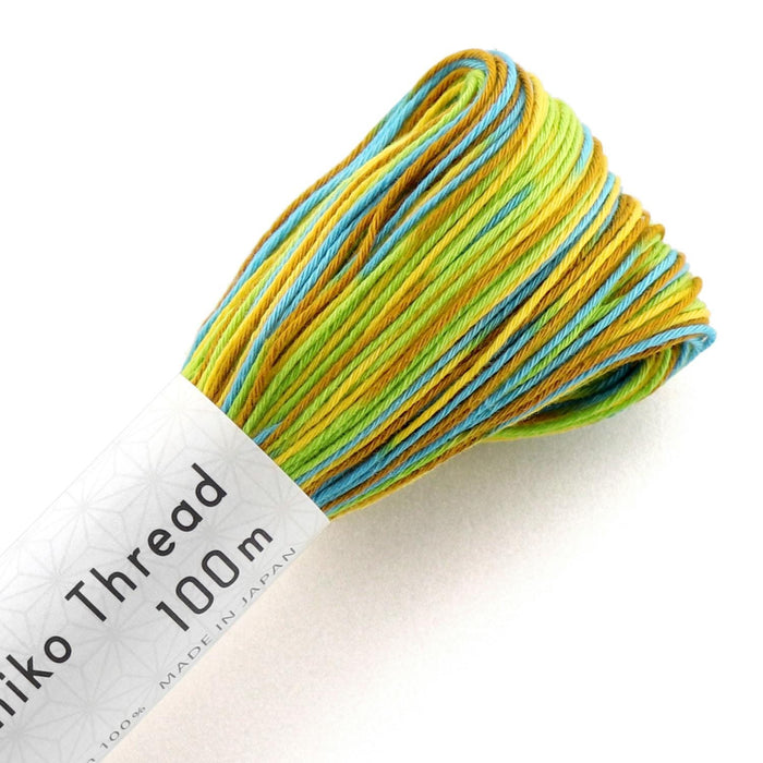 Olympus - Cotton Sashiko Thread 100m Skein - Variegated #171 Spring Meadow