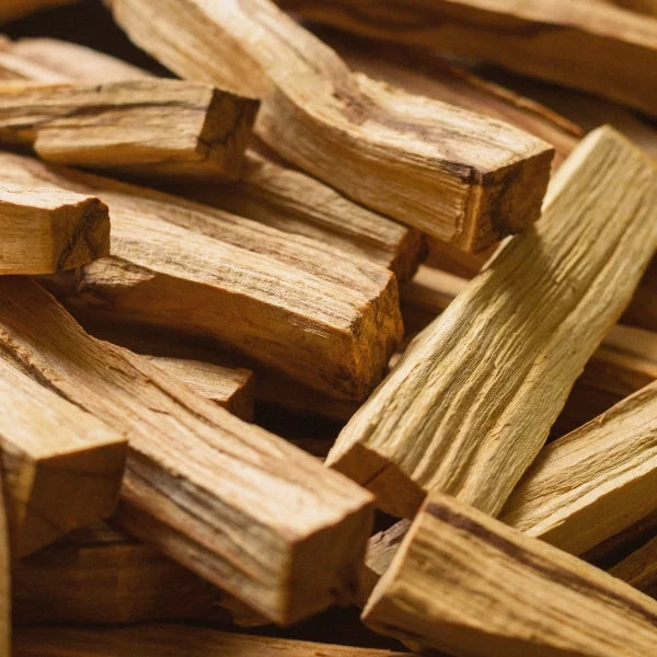 Palo Santo (Bursera graveolens) - Essential Oil