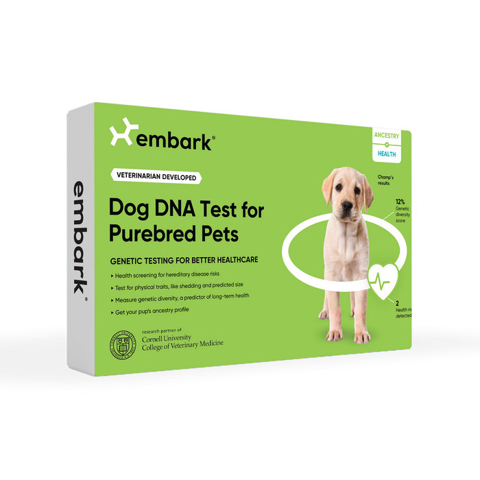 genetic health test for purebred dogs