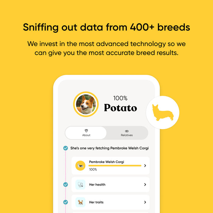 Dog breed identification app interface on a yellow background with text about technology investment.
