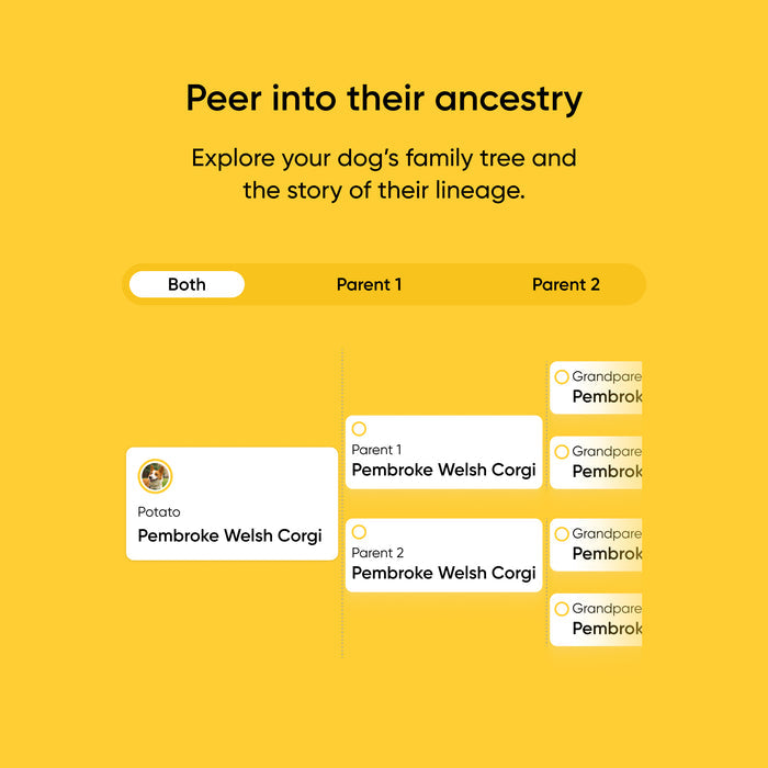 Ancestry exploration interface for dogs with options to select parents and view lineage on a yellow background.