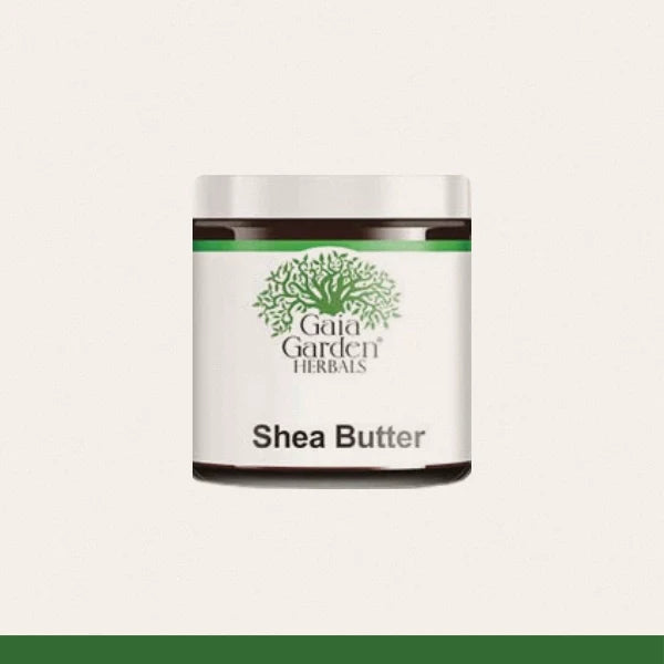 Shea Butter (Butyrospermum parkii)