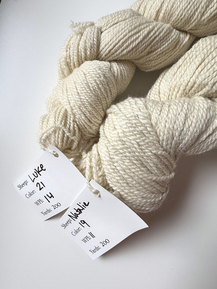 Spoiled Sheep - Corriedale/Rambouillet Wool Yarn 200yd - Luke #21 Natural White