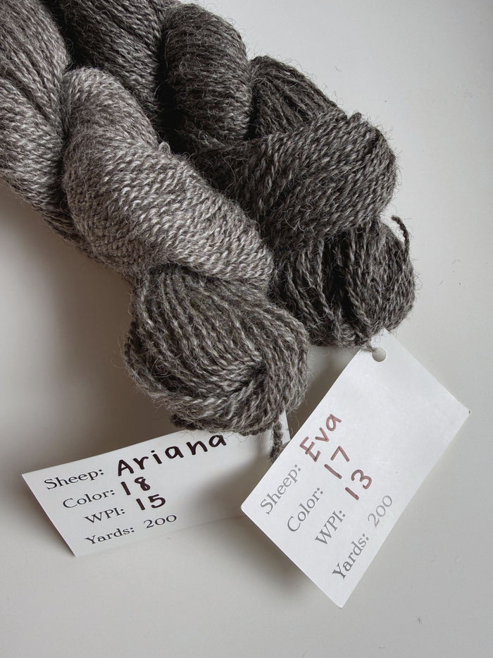 Spoiled Sheep - Leicester Longwool Wool Yarn 200yd - Ariana #18 Gray