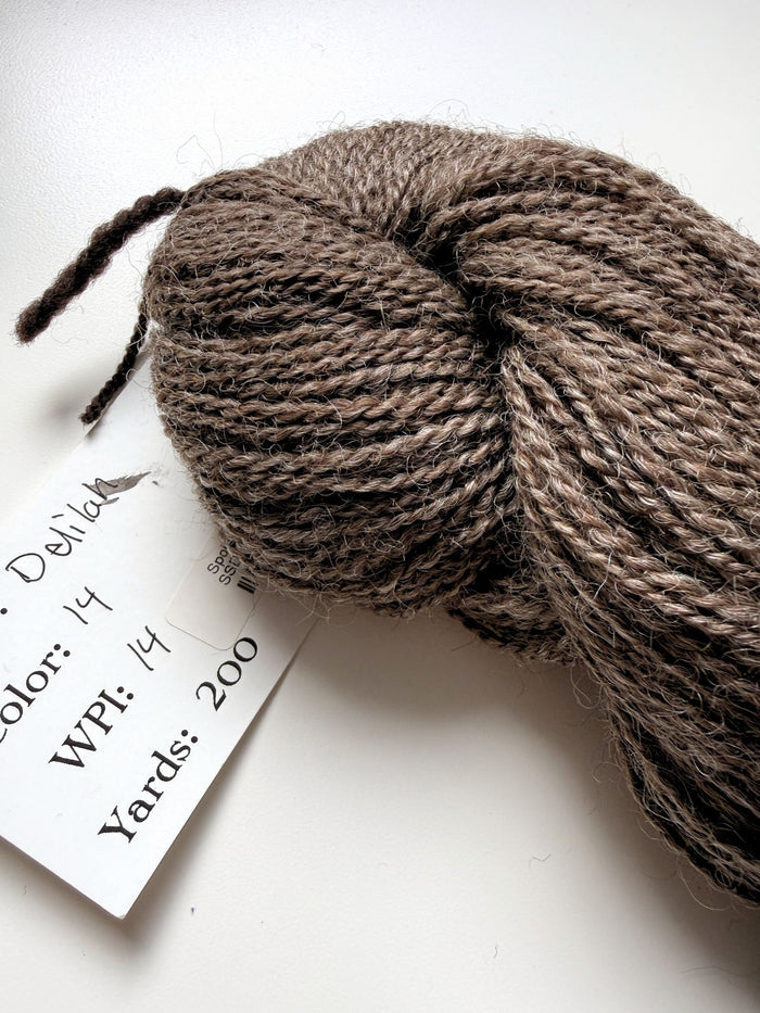 Spoiled Sheep - Romney Wool Yarn 200yd - Delilah #14 Ash Brown