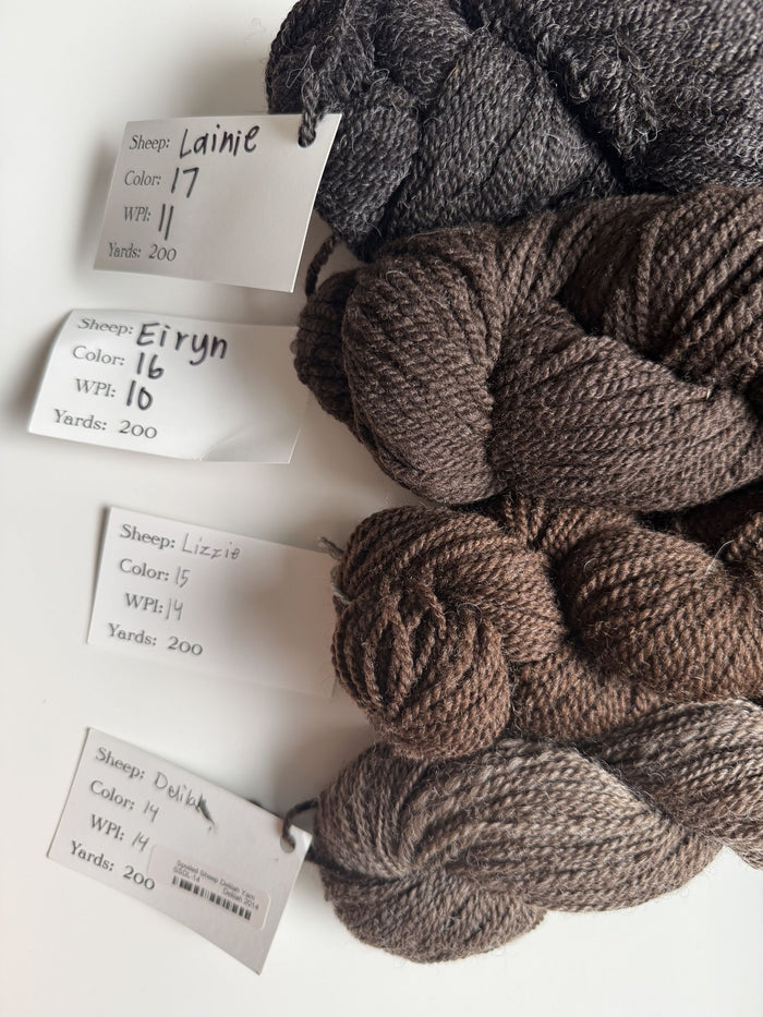 Spoiled Sheep - Romney Wool Yarn 200yd - Delilah #14 Ash Brown
