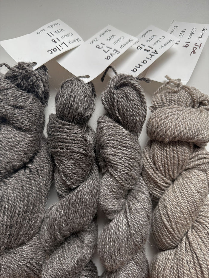 Spoiled Sheep - Romney/Rambouillet Wool Yarn 200yd - Joe #19 Gray