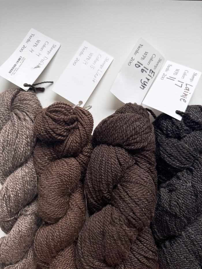 Spoiled Sheep - Romney/Rambouillet Wool Yarn 200yd - Lizzie #15 Rich Brown