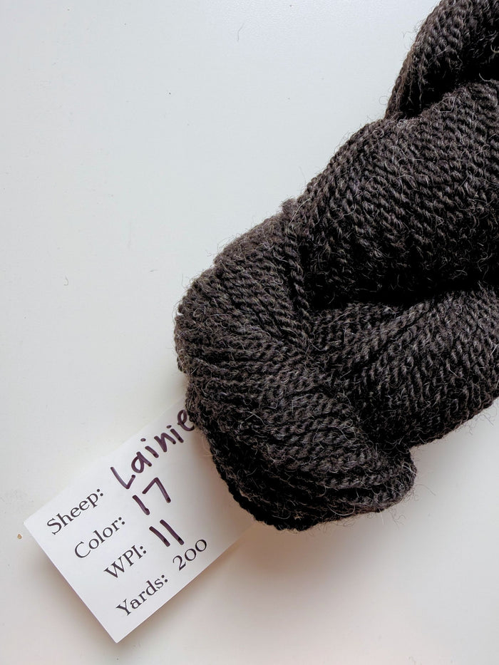 Spoiled Sheep - Suffolk/Finn/Merino Wool Yarn 200yd - Lainie #17 Charcoal Gray