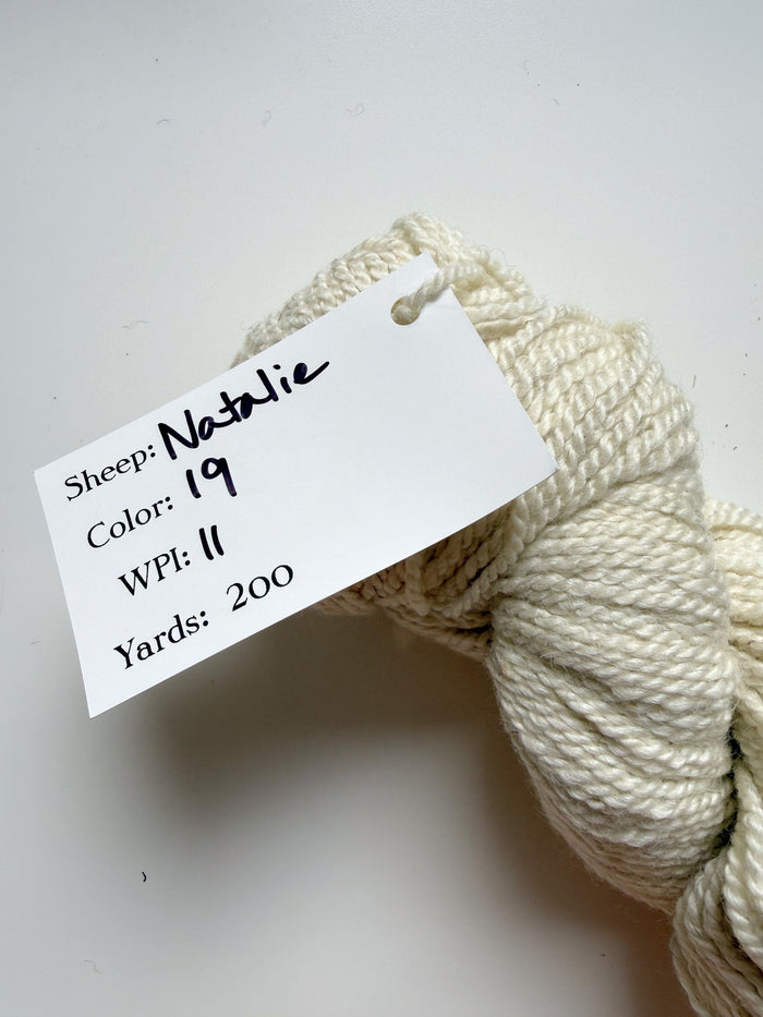 Spoiled Sheep - Wensleydale/Rambouillet Wool Yarn 200yd - Natalie #19 Natural White