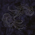 Sylvia Pippen - Jellyfish Pre-Printed Sashiko Cotton Panel