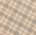 Junko Matsuda yarn dyed plaid Japanese cotton fabric Y25-0208 A beige and blue