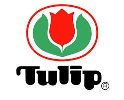 Tulip - Cables for Knitting Needles CarryC Long - Various Sizes