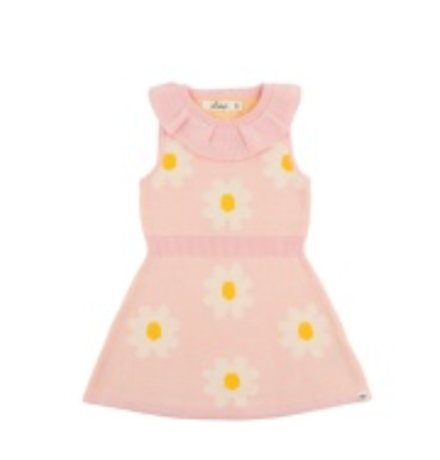 Victoria Intarsia Daises Dress